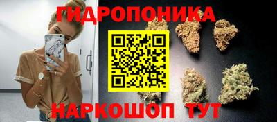 гашик Пенза