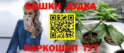 спиды Партизанск