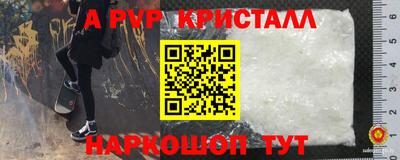 спиды Партизанск