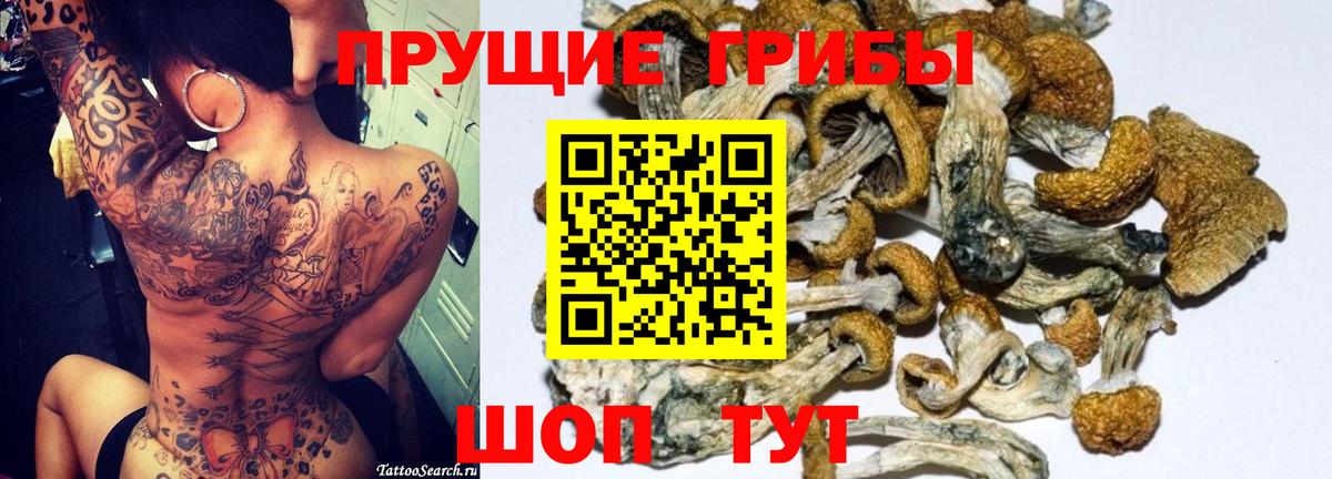 Псилоцибиновые грибы Psilocybine cubensis  Вход с VPN  Новочебоксарск 
