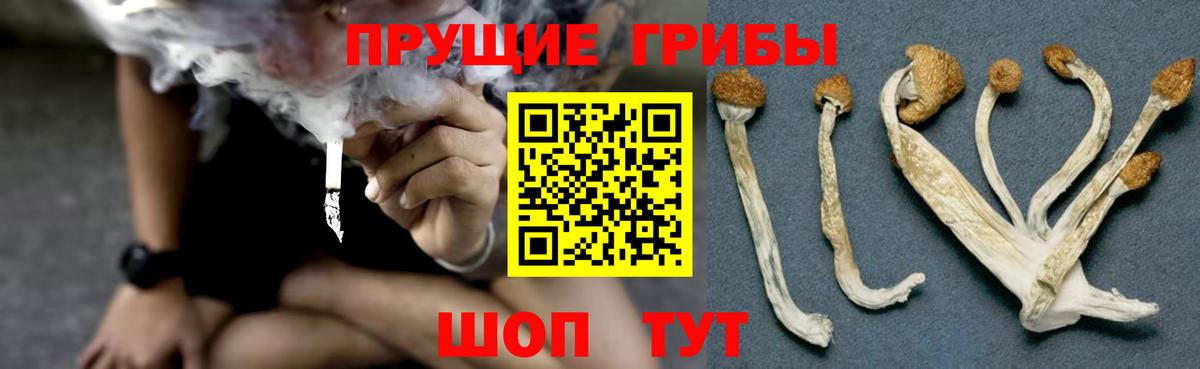 Галлюциногенные грибы мухоморы Новочебоксарск