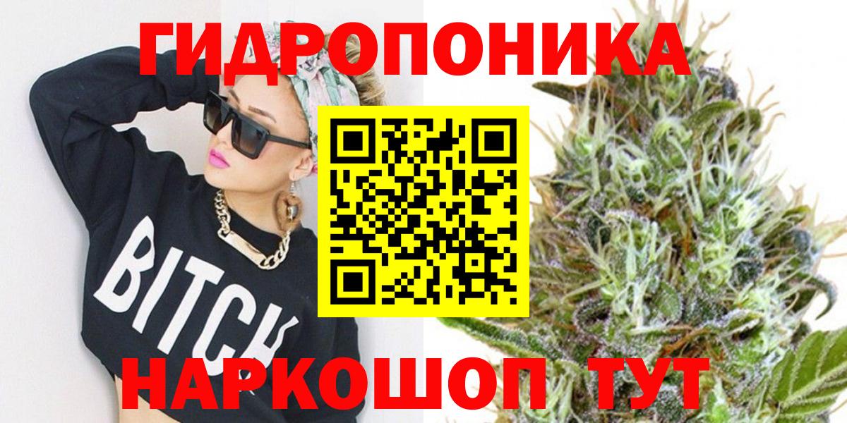 Шишки марихуана семена Новочебоксарск